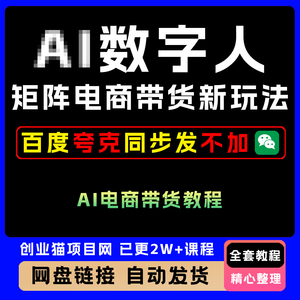 2025年数字人矩阵电商带货新玩法全套视频精讲学习教学课程项目
