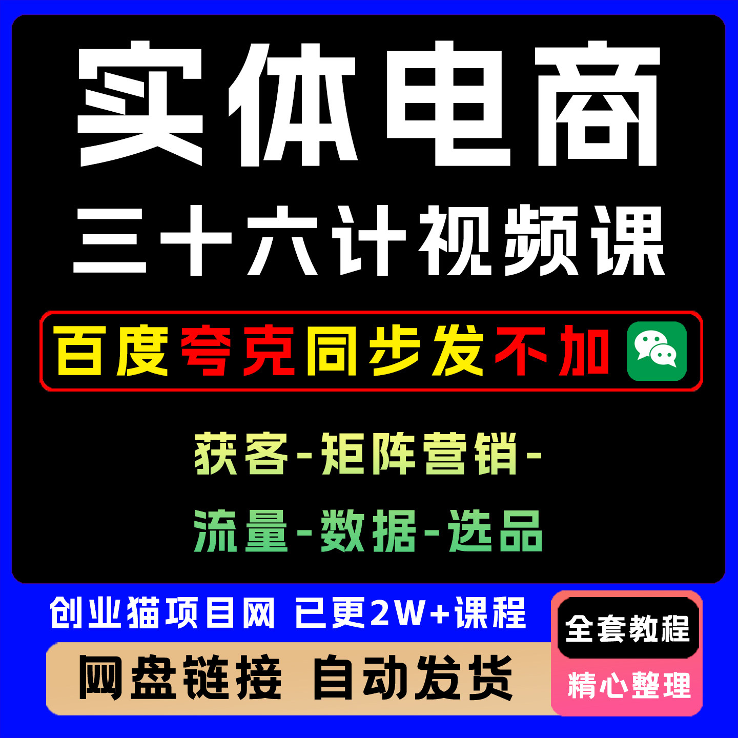 2025年实体电商三十六计 商业模型解决方案大课 王泽旭课程