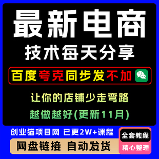 2025新电商技术每天分享让你的店铺少走弯路越做越好更新11月