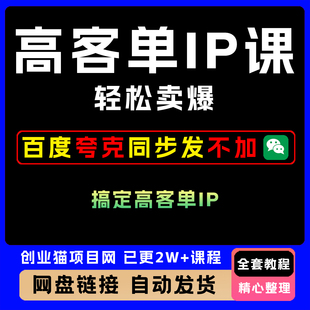 2025年高客单IP课轻松搞定成交教程变现黑科技视频课程副业