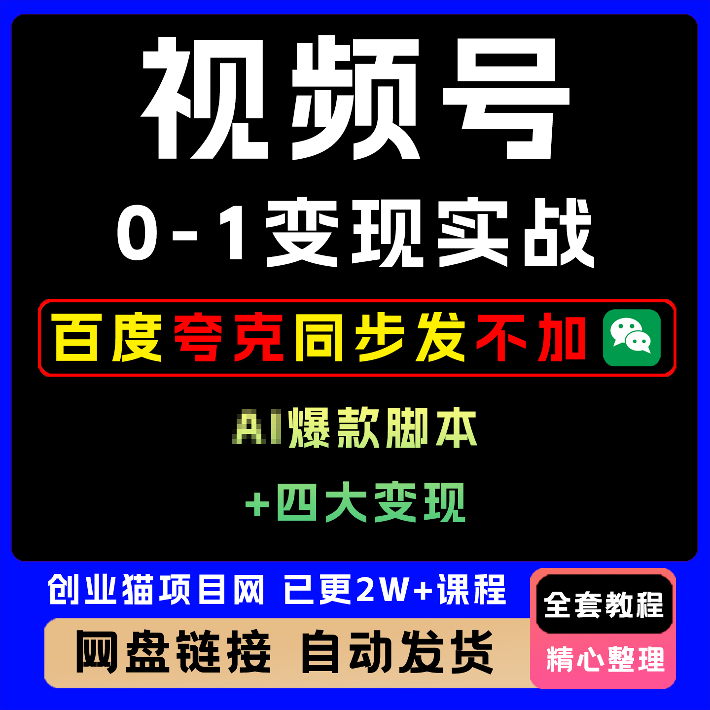 2025视频号0-1变现实战课爆款脚本+四大变现普通人30天月入5000+
