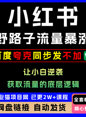 2025 小XHS红书教程获取流量野路子  全套详细教程