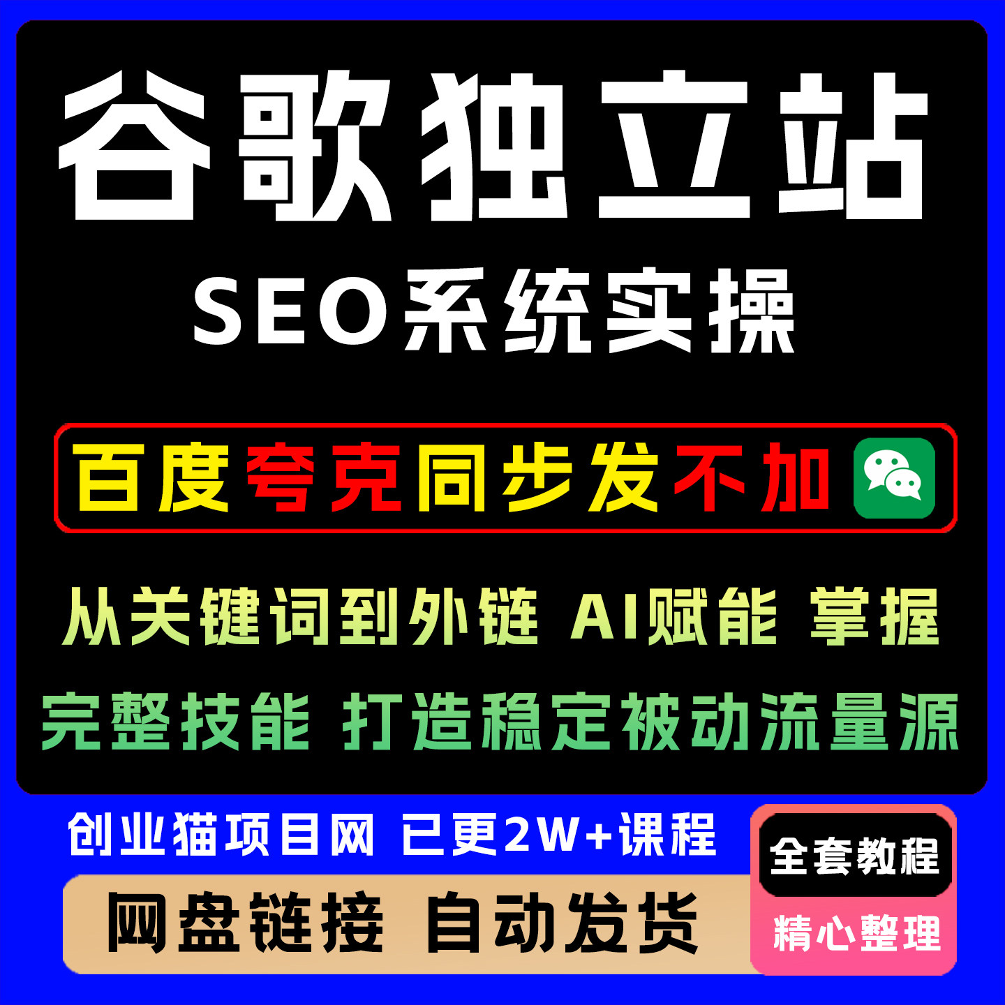 谷歌独立站SEO系统实操课关键词到外链AI赋能完整技能被动流量源