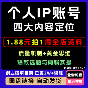 个人IP账号全流程流量机制四大内容定位黄金思维爆款选题剪辑实操