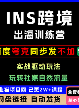 2025lns跨境出海训练营实战驱动玩法小白零基础精讲全套视频教程