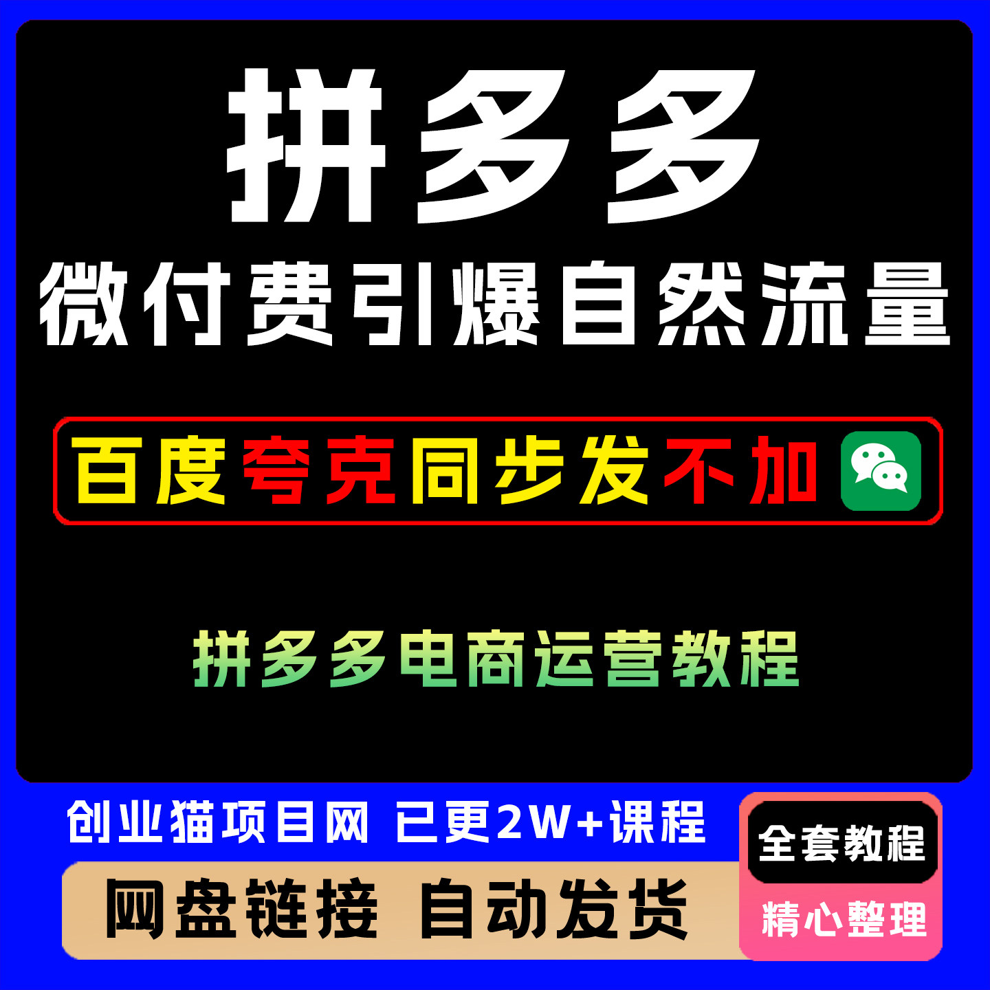 2025拼多多微付费引爆自然流量电商运营教程全套视频精讲教学课程