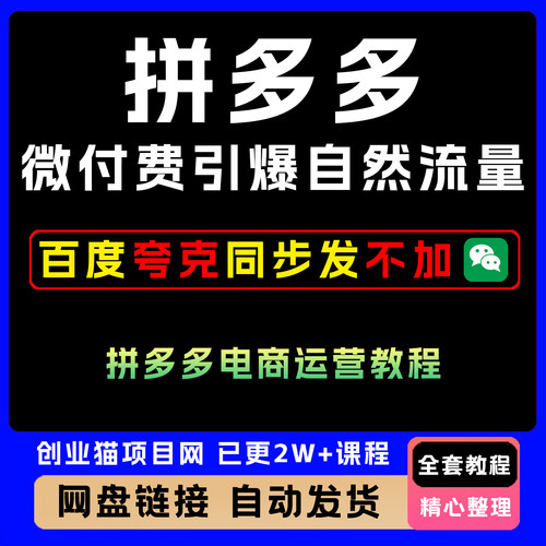 2025拼多多微付费引爆自然流量电商运营教程全套视频精讲教学课程