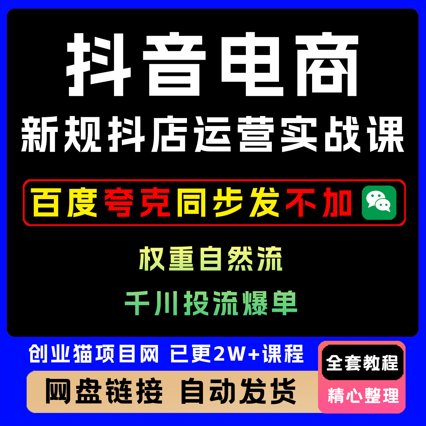 抖音电商新规抖店运营实战课权重自然流千川投流爆单