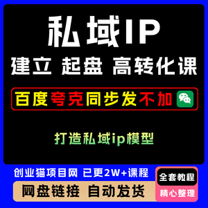 2025私域IP建立起盘高转化模型教程变现视频课程副业项目