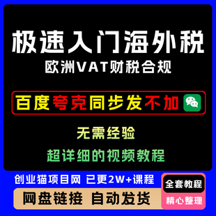 2025年极速入门海外税欧洲VAT财税合规零基础带你入门