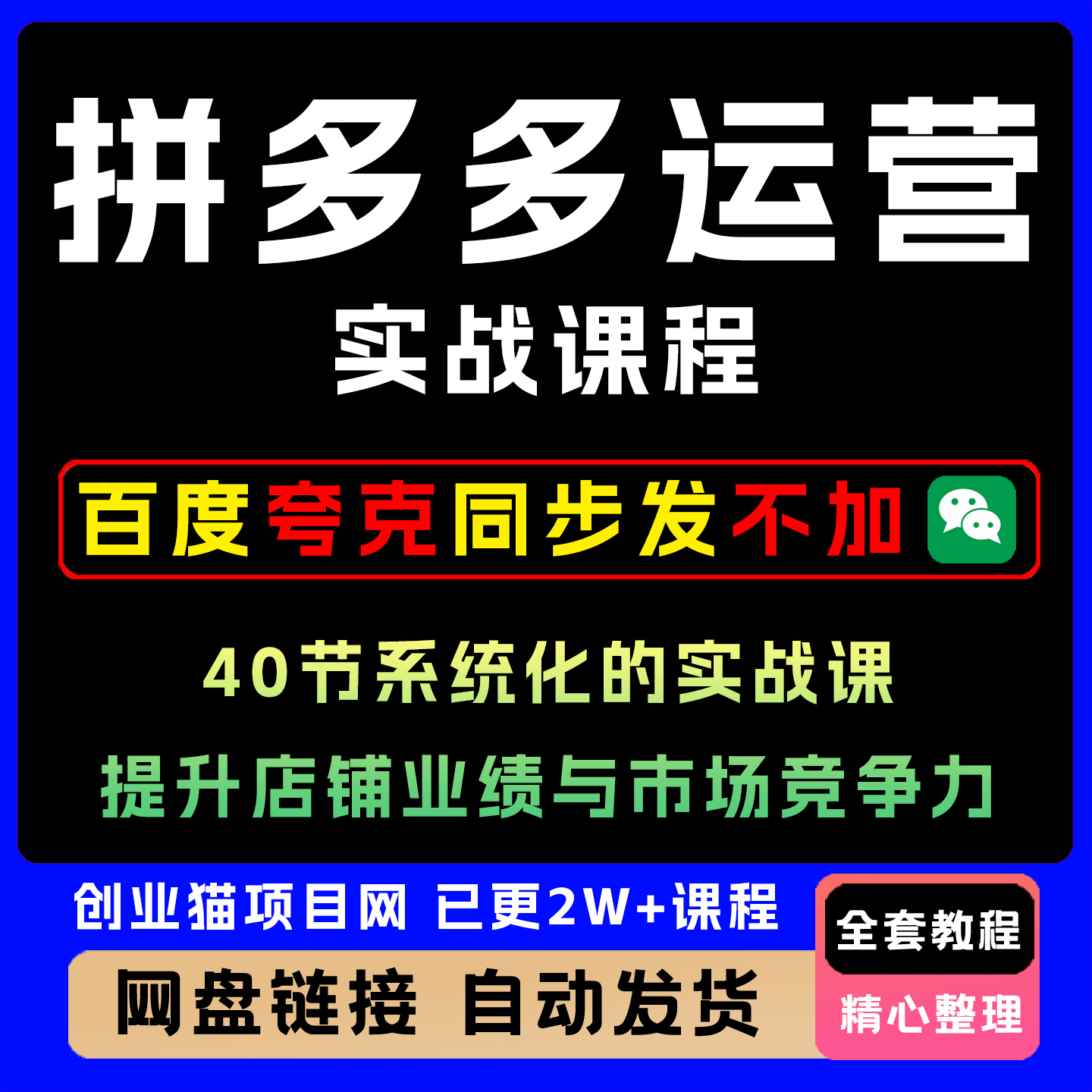 2025拼多多运营实战课程40节全套视频精讲学习资料教学课程项目