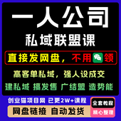 2025一人公司私域联盟高客单强人设成交教程变现短视频课程副业