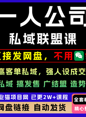 2025一人公司私域联盟高客单强人设成交教程变现短视频课程副业
