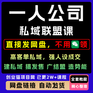 2025一人公司私域联盟高客单强人设成交教程变现短视频课程副业