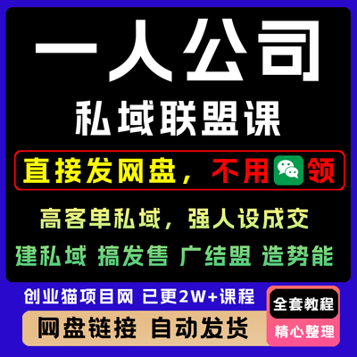 2025一人公司私域联盟高客单强人设成交教程变现短视频课程副业