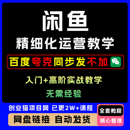 2025年全套闲鱼精细化运营思路课入门+高阶实战视频教程