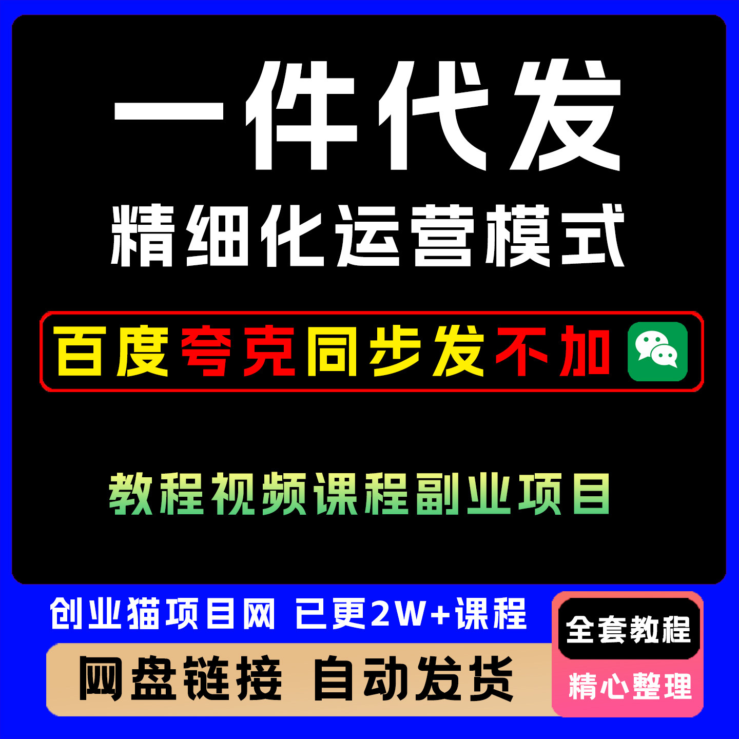 2026淘差价课程淘宝一件代发精细化运营模式教程视频课程副业项目