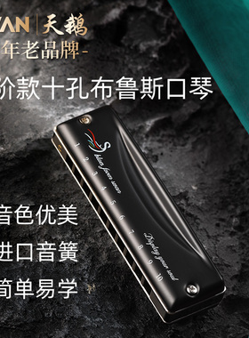 天鹅天籁布鲁斯口琴十孔10蓝调C调初学者入门专业演奏级正品paddy