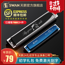 Swan Harmonica 24-hole Beginner Student Adult Children Initial Polyphony C High Professional Performing Harmonica