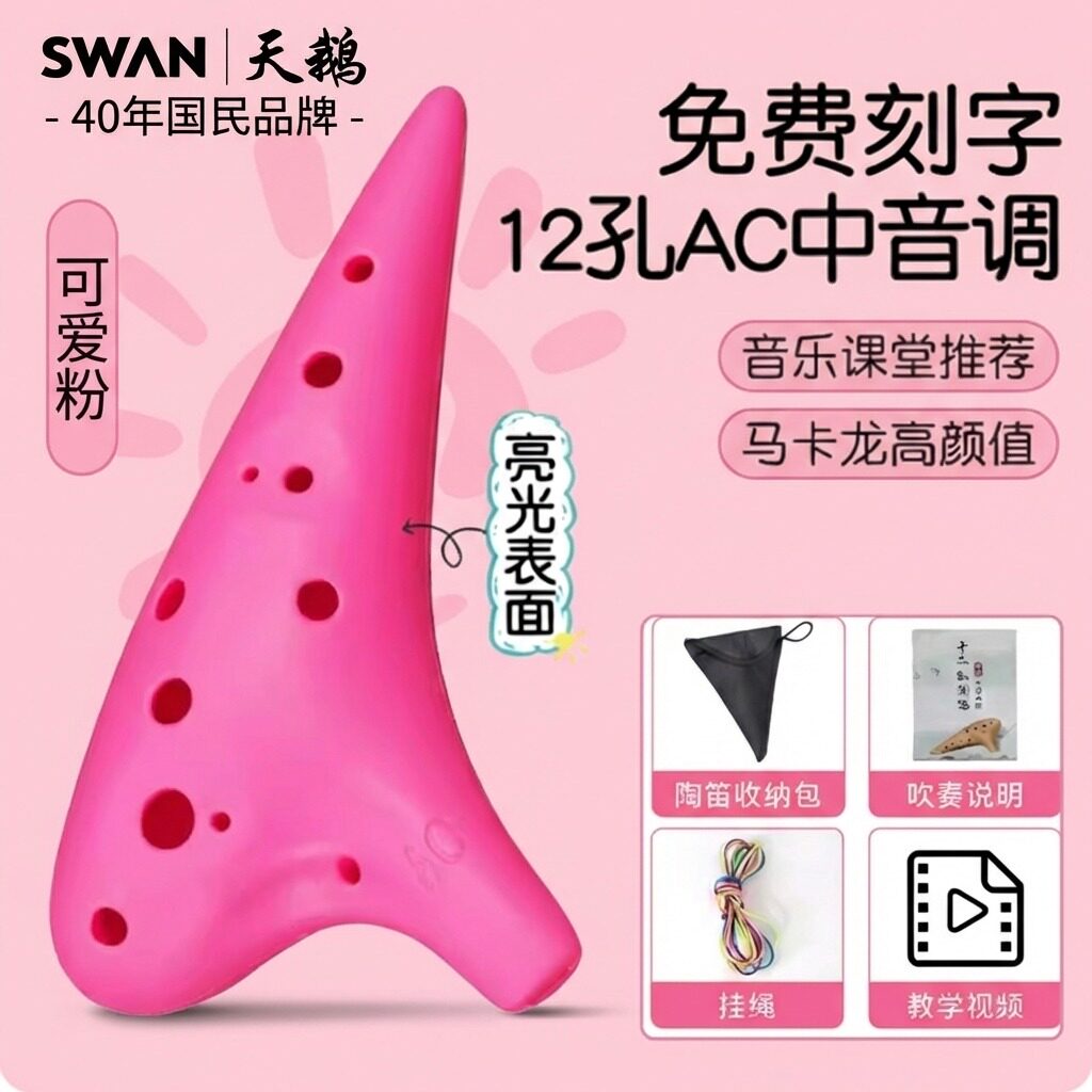 天鹅12孔C调陶笛入门级树脂十二孔乐器防摔初学者小学生专用