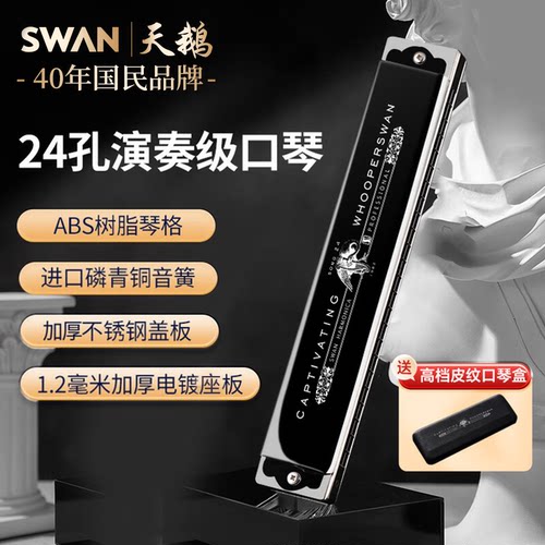 德国进口音簧天鹅24孔复音口琴