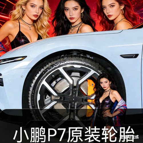 米其林轮胎 245/45R19 102V e聆悦 E PRIMACY 适配小鹏P7极氪007