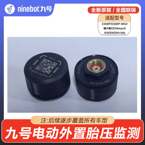 DZ电动车配件胎压监测E300p外置