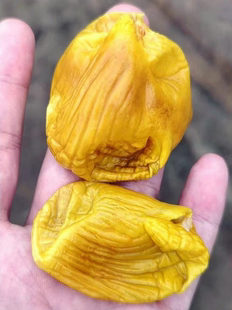 正宗散养鸡内金 土鸡鸡内金干片 干货300g 顺丰包邮