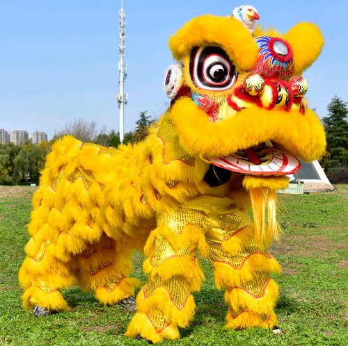 泡沫南狮羊毛狮头双人舞狮全套