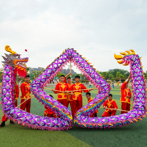 舞龙凌网龙网纱绣片舞龙灯舞龙舞狮道具9节龙狮专业竞技比赛用龙