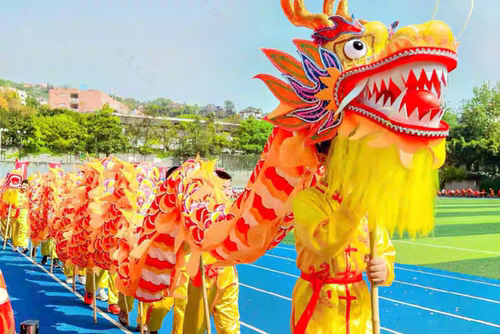 舞龙灯舞龙舞狮道具绸布龙