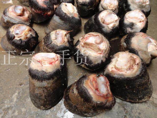 2个带壳带毛蹄子黑驴蹄子小蹄子带壳蹄子完整新鲜正宗特惠