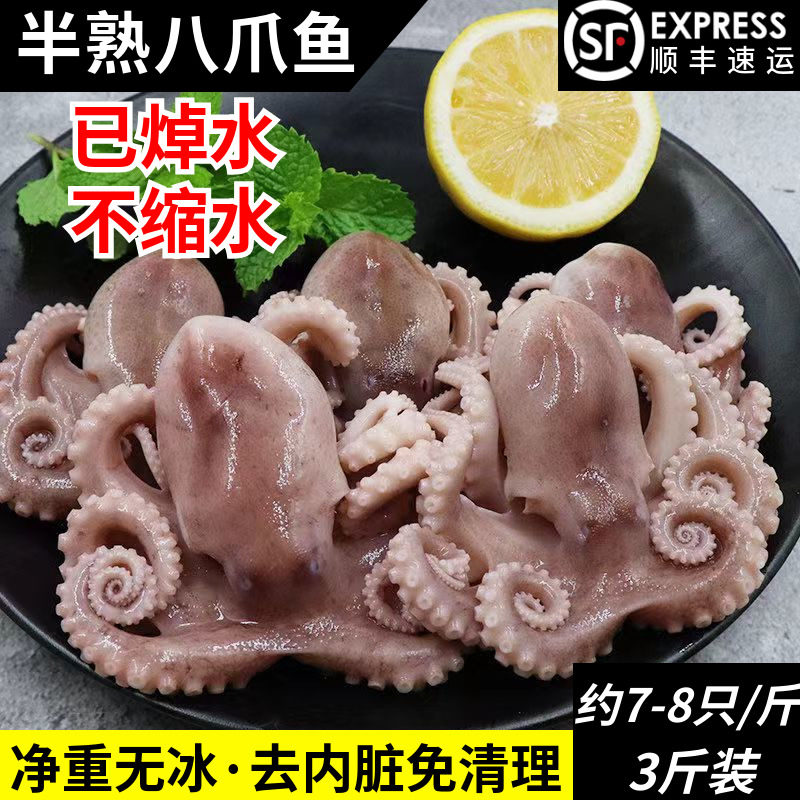 新鲜半熟迷你八爪鱼鲜活冷冻焯水小章鱼短腿八抓鱼去内脏捞汁海鲜
