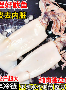 鱿鱼鲜活冷冻新鲜超大鱿鱼生鲜免洗尤鱼整条烧烤铁板商用海鲜水产