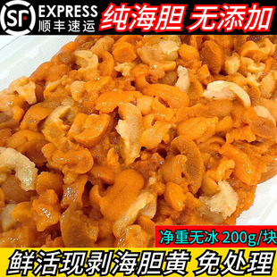新鲜海胆肉冷冻纯海胆黄大连鲜活马粪海胆冻块速冻商用炒饭酱碎肉