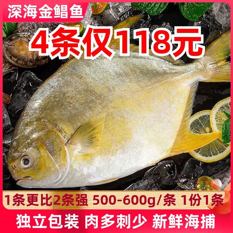 鲜活速冻新鲜特大金鲳鱼