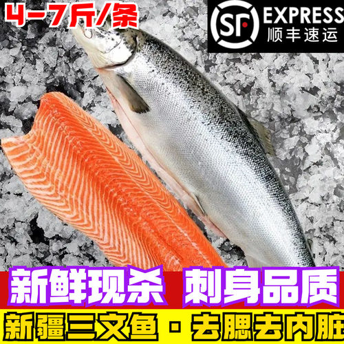 三文鱼新疆国产整条开片去刺中断