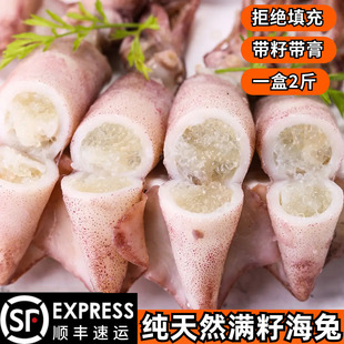 鲜冻满籽海兔子新鲜鲜活海鲜全籽大籽乌笔管鱼冷冻乌贼小鱿鱼整箱
