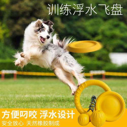 飞盘泰迪金毛磨牙耐咬训犬玩具