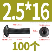 M2.5*16 (100)