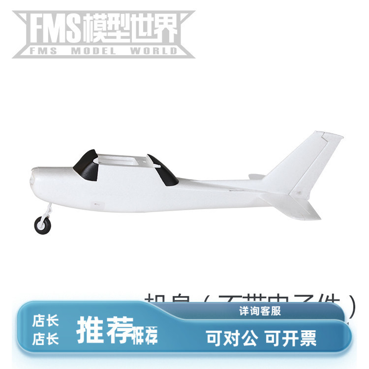 FMS850mm守护者飞机机身飞机图片