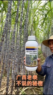 甘蔗叶面专用肥甘蔗专用920赤霉素生长素助长剂化渣促进伸长方案