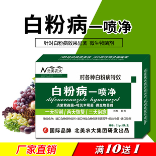 黄瓜甜瓜草莓白粉病杀菌剂北美农大 白粉病一喷净白粉病药花卉月季
