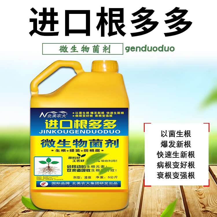 进口根多多生根壮苗瓜果蔬菜正品