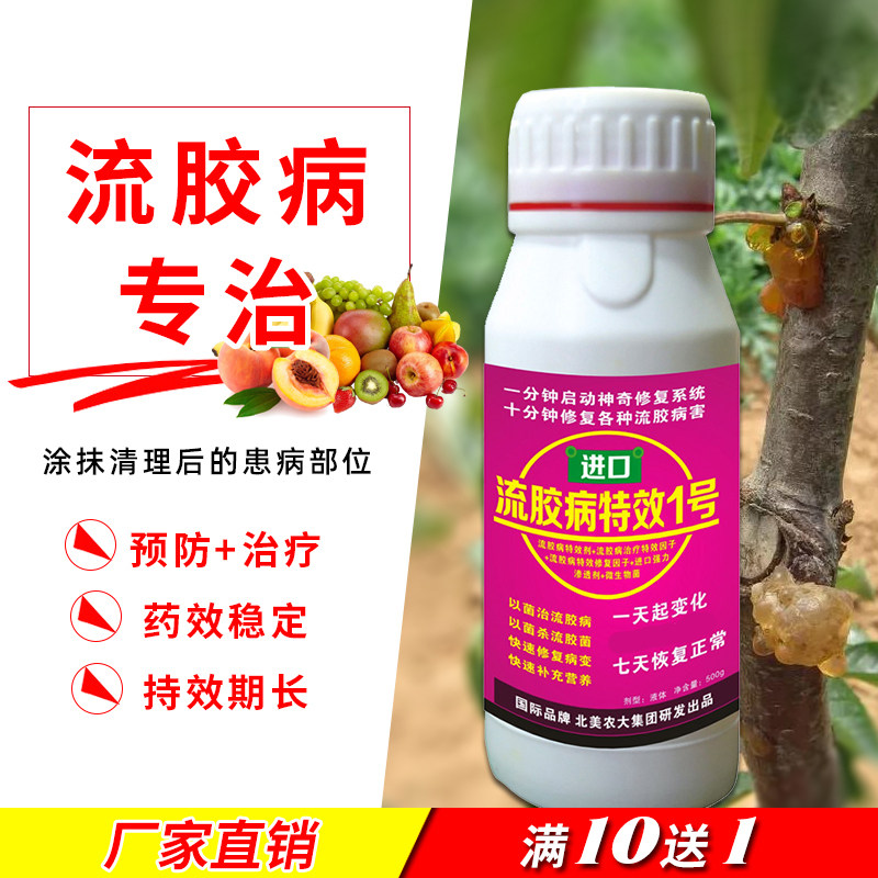 进口流胶病特效1号杀菌剂 樱桃树果树柑橘柚子树黄瓜流胶病专用药