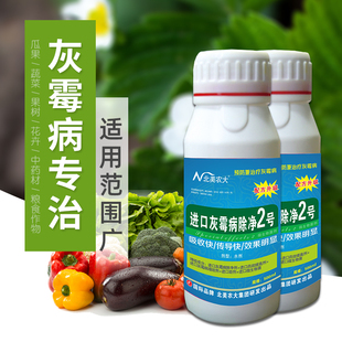 进口灰霉病除净2号杀菌剂 韭菜黄瓜辣椒番茄草莓葡萄灰霉病专用药