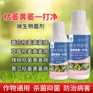 枯萎黄萎病一打净一喷净杀菌剂果树蔬菜瓜类根腐立枯黄萎病专用药