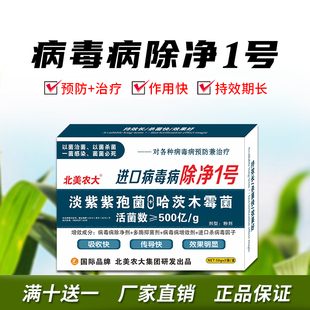 进口病毒病除净1号杀菌剂西红柿辣椒病毒病专用药黄瓜西葫芦病毒