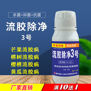 北美农大桃树流胶樱桃流胶黄瓜芒果果树流胶病流胶专用涂抹效果好