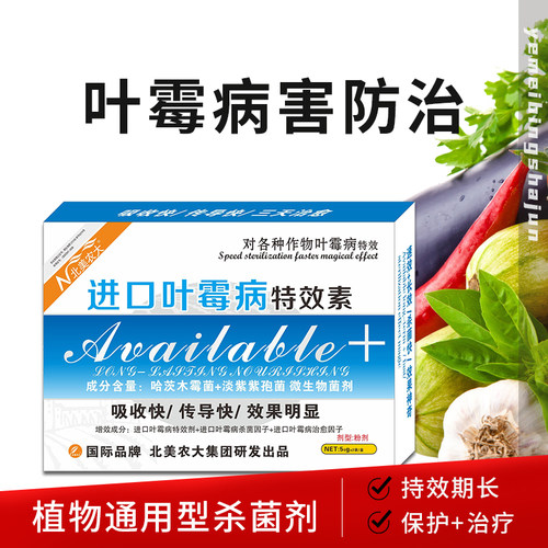 叶霉病专用药番茄叶霉病北美农大